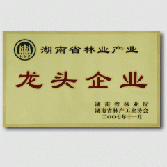 桃花江竹材-湖南省林業(yè)產(chǎn)業(yè)龍頭企業(yè)